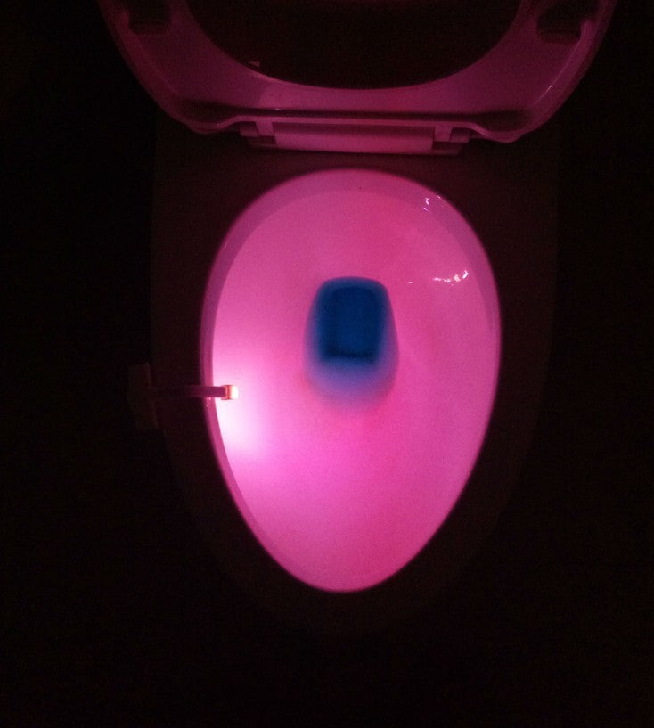 Toilet seat LED lamp