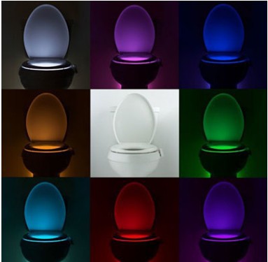 Toilet seat LED lamp