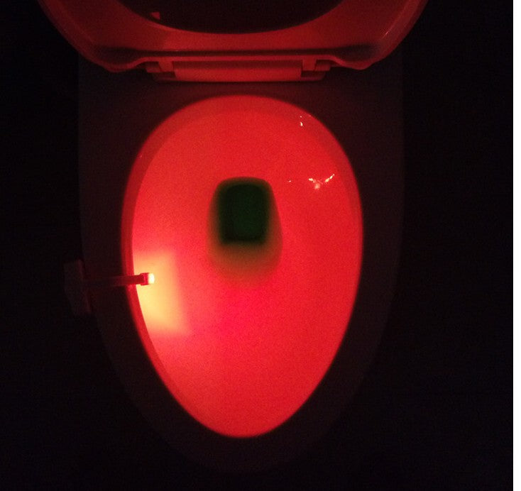 Toilet seat LED lamp