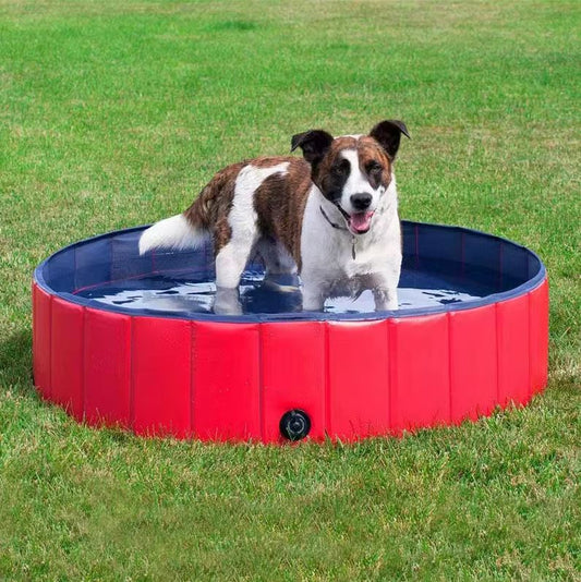 Foldable Dog Pool